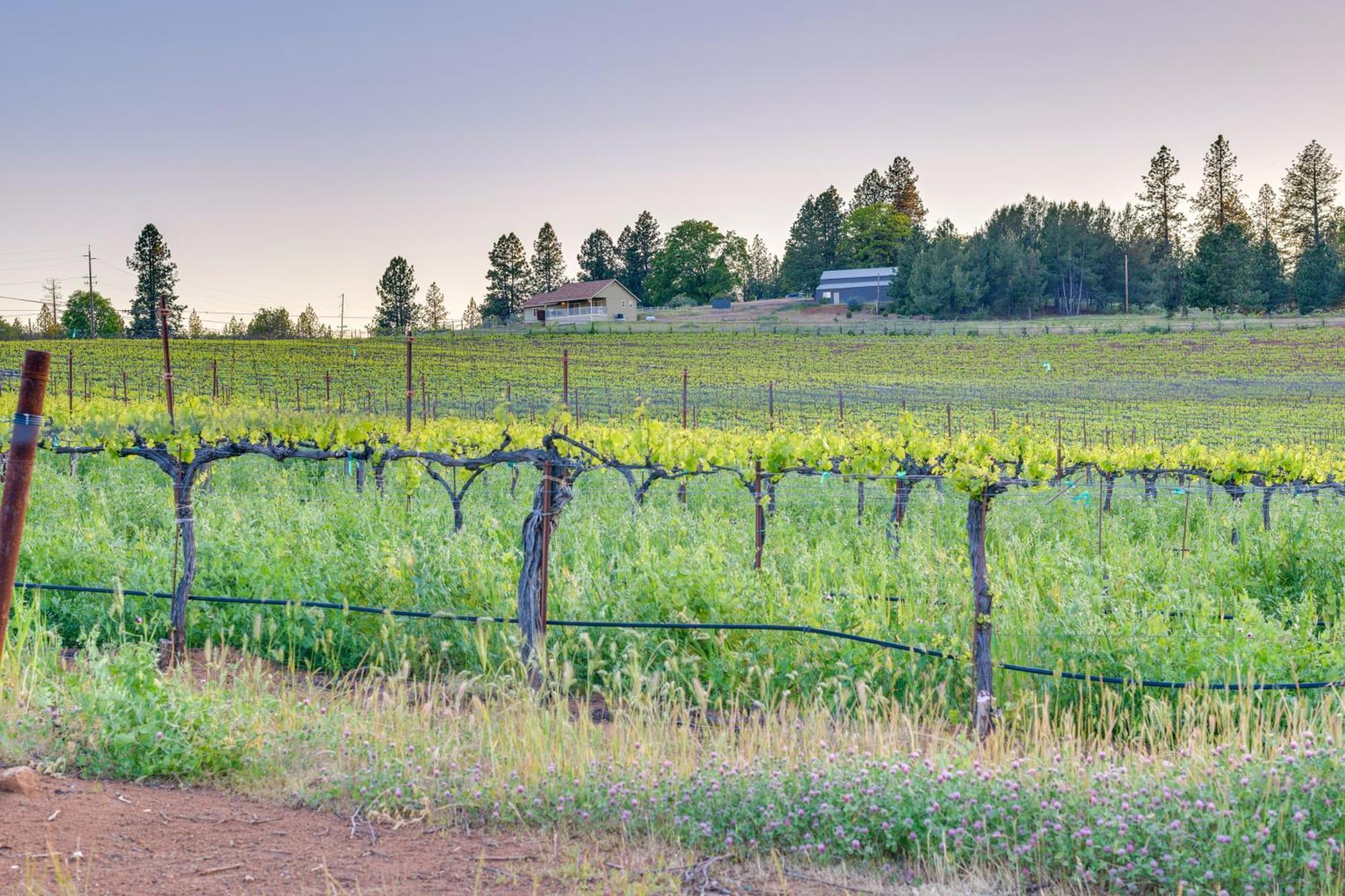 Kelseyville Cottage Private Deck And On-Site Winery Exterior photo